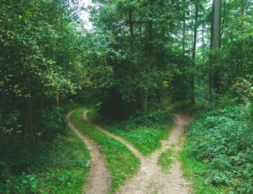 How to Start Making Better Workplace Decisions